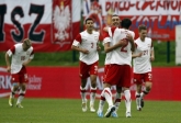 Rywal Polakw na Euro 2012 bez sparingpartnera 